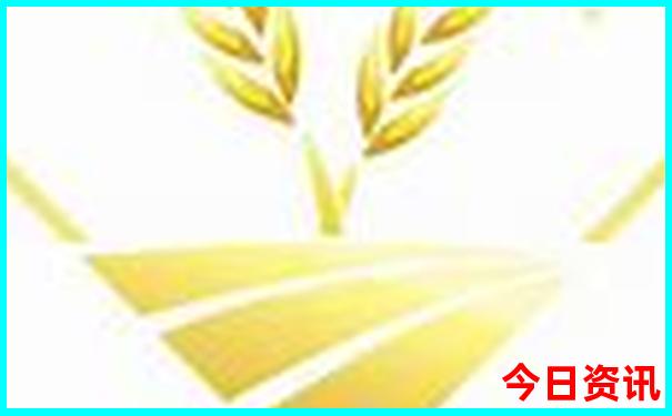 新奥优质内容天天全新入口全新推荐资料最新动态大全-7777788888管家婆老家